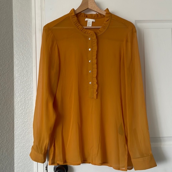 Sheer Half-Button Blouse - Picture 1 of 3